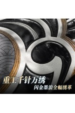 1/3 Delusion Honkai Star Rail Feixiao Cosplay Costume